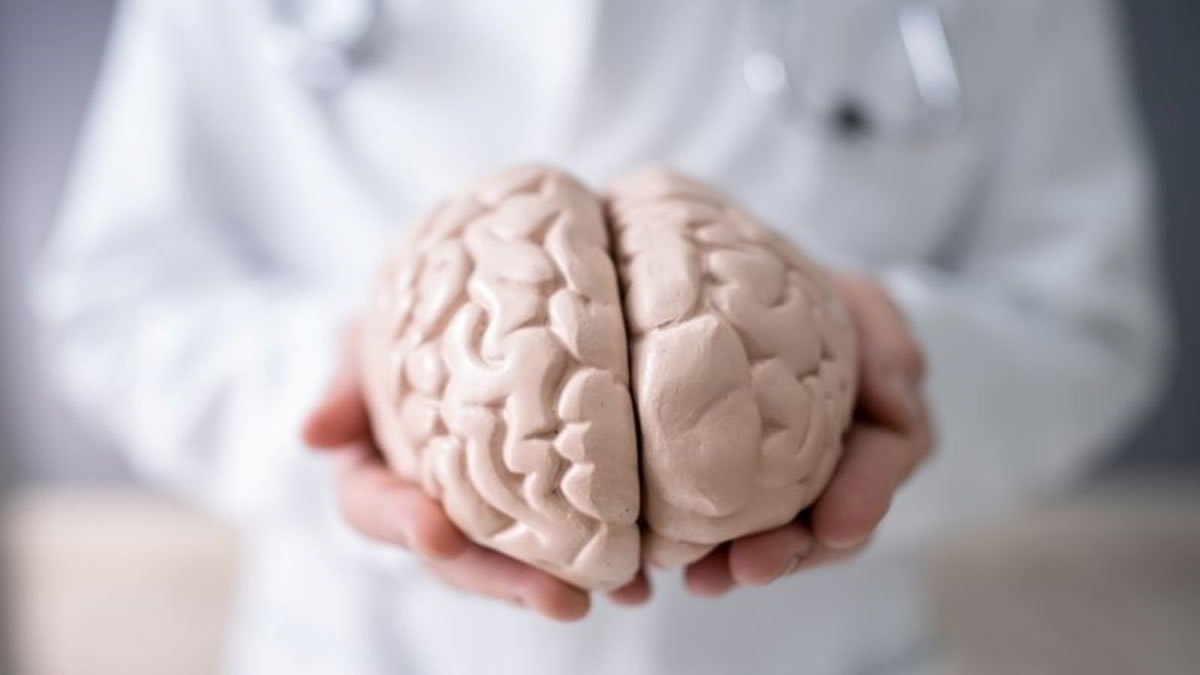 Neuroplasticidad de los dos hemisferios del cerebro